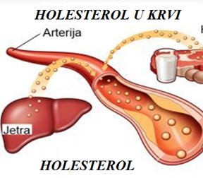 Polymed-Doboj Polymed-Doboj